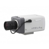 IP êà́åđà Sony SNC-CS11P