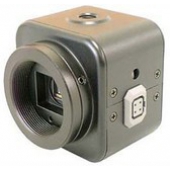 Видеокамера Watec Co., Ltd. WAT-535EX