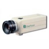 Видеокамера Everfocus EQ-180-C